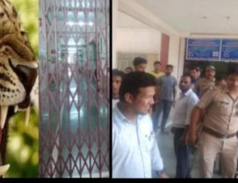 उत्तराखंड के इस मेडिकल कॉलेज में अचानक घुस गया गुलदार,मचा हड़कंप 3 Hello Uttarakhand News »