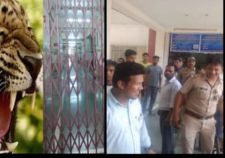 उत्तराखंड के इस मेडिकल कॉलेज में अचानक घुस गया गुलदार,मचा हड़कंप 1 Hello Uttarakhand News »