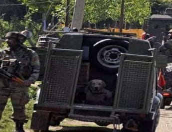 Jammu & Kashmir: Budgam encounter: One Militant killed, one soldier injured 3 Hello Uttarakhand News »