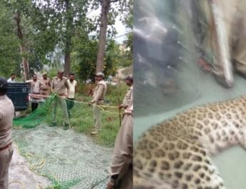 उत्तराखंड: मेडिकल कॉलेज में घुसा गुलदार आखिरकार दो दिन बाद ढेर 4 Hello Uttarakhand News »