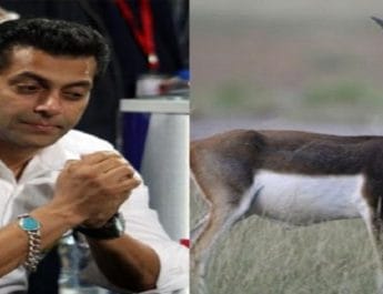 काला हिरण शिकार मामले में कोर्ट सलमान खान से नाराज, कहा- खारिज कर दी जाएगी जमानत 2 Hello Uttarakhand News »
