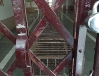 उत्तराखंडः 24 घंटे बाद भी मेडिकल कॉलेज से बाहर नहीं निकला गुलदार, मेडिकल कॉलेज बंद 4 Hello Uttarakhand News »