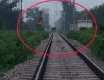 उत्तराखंड में अचानक ट्रेन के रास्ते में आया हाथी, मची भगदड़ 2 Hello Uttarakhand News »