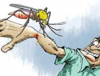 स्वास्थ्य विभाग की डेंगू मरीजों के आंकड़े नहीं विश्वसनीय, कई अधिक हो सकती मरीजों की संख्या 2 Hello Uttarakhand News »