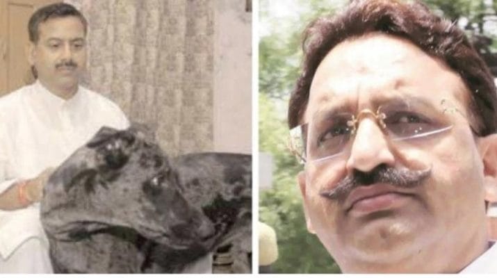 कृष्णानंद राय मर्डर केस में मुख्‍तार अंसारी ,मुन्ना बजरंगी समेत सभी 5 आरोपी बरी 1 Hello Uttarakhand News »