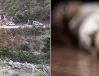 उत्तराखंडः स्कूल से घर लौट रही छात्रा खाई में गिरी, मौत से परिजनों में मचा कोहराम 4 Hello Uttarakhand News »