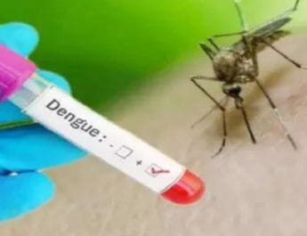 उत्तराखंड: पुलिस चौकियों में भी डेंगू का कहर, छह सिपाहियों में डेंगू की पुष्टि 2 Hello Uttarakhand News »