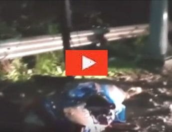 बिजली विभाग की बड़ी लापरवाही, करंट लगने से बेजुबान की दर्दनाक मौत 3 Hello Uttarakhand News »