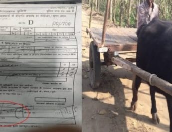 उत्तराखंड: पुलिस ने भैंसा बुग्गी का ही काट दिया चालान, न्यू मोटर व्हीकल एक्ट में किया चालान 3 Hello Uttarakhand News »