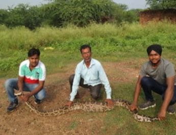 घर में घुसा 12 फीट का अजगर,लेब्राडॉर डॉग को निगला, मचा हड़कंप 4 Hello Uttarakhand News &raquo;