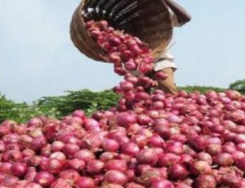 चार साल के ऊंचे स्तर पर प्याज का भाव, अभी और रुला सकता है प्याज़ 3 Hello Uttarakhand News »