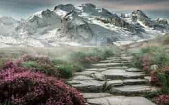 कल से पर्यटकों के लिए बंद हो जाएगी फूलों की घाटी 3 Hello Uttarakhand News »