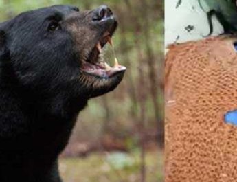 चमोली: घास लेने गई महिला पर भालू ने किया हमला, दर्दनाक मौत 2 Hello Uttarakhand News »