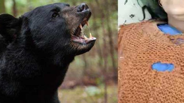 चमोली: घास लेने गई महिला पर भालू ने किया हमला, दर्दनाक मौत 1 Hello Uttarakhand News »