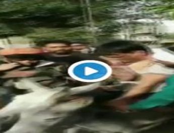 कार्यकर्ताओं ने राष्ट्रीय संयोजक और पार्टी के पूर्व राज्य प्रभारी का मुंह किया काला, गधे पर बैठकार घुमाया 4 Hello Uttarakhand News »