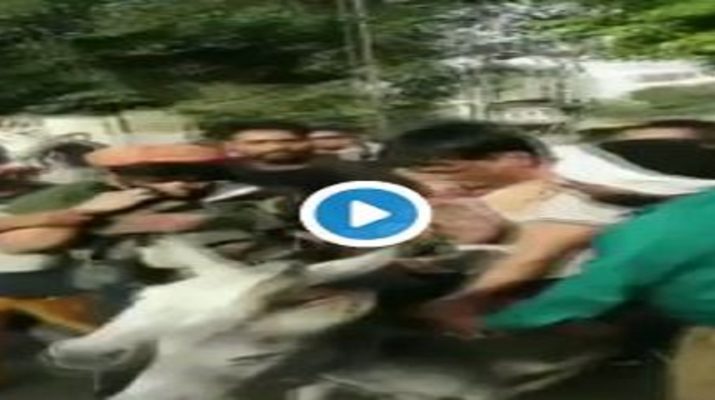 कार्यकर्ताओं ने राष्ट्रीय संयोजक और पार्टी के पूर्व राज्य प्रभारी का मुंह किया काला, गधे पर बैठकार घुमाया 1 Hello Uttarakhand News »