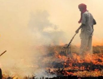 देहरादून: अब पराली से धुंआ नहीं कंपोस्ट खाद का होगा उत्पादन, इन राज्यों में रंग ला रही मुहीम.. 3 Hello Uttarakhand News »