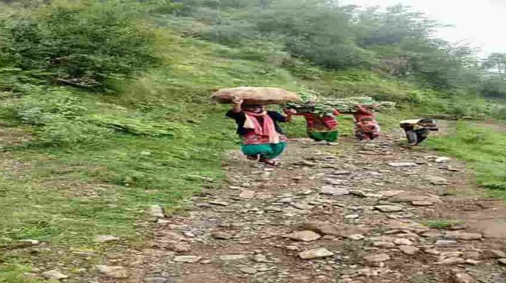 आज़ादी के 70 साल बाद भी उत्तराखंड के इस क्षेत्र में नही पहुंची सड़क, शासन-प्रशासन बेसुध 1 Hello Uttarakhand News »