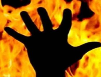 महिला तहसीलदार को दिनदहाड़े ऑफिस में जिंदा जलाया, मौत 4 Hello Uttarakhand News »