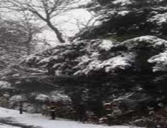 उत्तराखंड: ठण्ड के चलते कल इन जिलों में स्कूलों की छुट्टी घोषित 3 Hello Uttarakhand News »