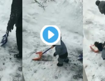 VIDEO: बर्फबारी के बीच 'मासूम' की ये खास वीडियो वायरल, 'बिग बी' ने किया रीट्वीट 2 Hello Uttarakhand News »