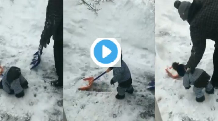 VIDEO: बर्फबारी के बीच 'मासूम' की ये खास वीडियो वायरल, 'बिग बी' ने किया रीट्वीट 11 Hello Uttarakhand News » Page 2 of 16