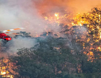 ऑस्ट्रेलिया के जंगलों में नही काबू हो रही आग, 500 मिलियन से अधिक जानवरों की मौत 3 Hello Uttarakhand News »