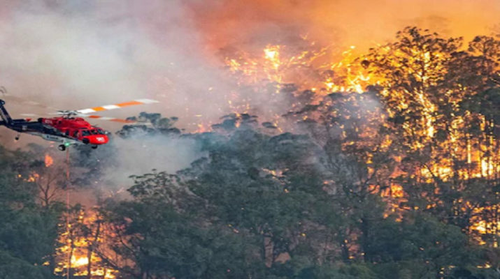 ऑस्ट्रेलिया के जंगलों में नही काबू हो रही आग, 500 मिलियन से अधिक जानवरों की मौत 1 Hello Uttarakhand News »