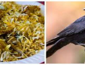 चिकन के नाम पर सस्ते में खिला रहे थे कौवा बिरयानी 2 Hello Uttarakhand News »