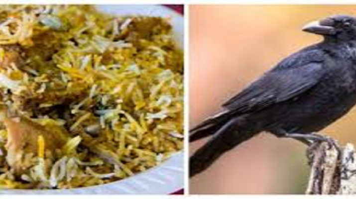 चिकन के नाम पर सस्ते में खिला रहे थे कौवा बिरयानी 1 Hello Uttarakhand News &raquo;