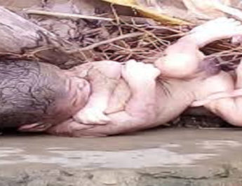 उत्तराखंड: नहर किनारे मिला नवजात शिशु का शव, नोंच -नोंच कर खा रहे थे कुत्ते 3 Hello Uttarakhand News »