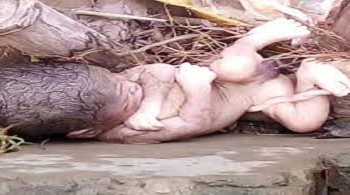 उत्तराखंड: नहर किनारे मिला नवजात शिशु का शव, नोंच -नोंच कर खा रहे थे कुत्ते 1 Hello Uttarakhand News »