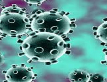 उत्तराखंड कोरोना स्वास्थ्य बुलेटिन (COVID-19) 30/04/2020 शाम 06:00 की रिपोर्ट 3 Hello Uttarakhand News »