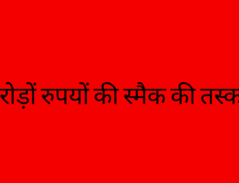 लॉक डाउन के दौरान सब्जी की आड़ में करोड़ों रुपयों की स्मैक की तस्करी 2 Hello Uttarakhand News »