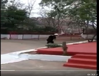 छत्तीसगढ़ के एक मंदिर में भालूों का प्रवेश, उछाले कूड़ेदान 3 Hello Uttarakhand News »