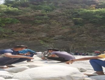 जानवरों का चारा काटने गई महिला गिरी खाई में, हुई दर्दनाक मौत 4 Hello Uttarakhand News »