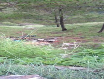 पिथौरागढ़ जिले में हुए दो बाइक एक्सीडेंट, एक लड़की सहित तीन लोग घायल 2 Hello Uttarakhand News »