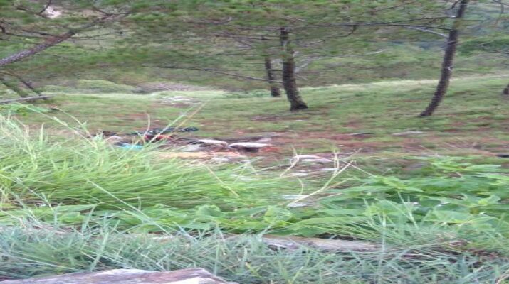 पिथौरागढ़ जिले में हुए दो बाइक एक्सीडेंट, एक लड़की सहित तीन लोग घायल 1 Hello Uttarakhand News »