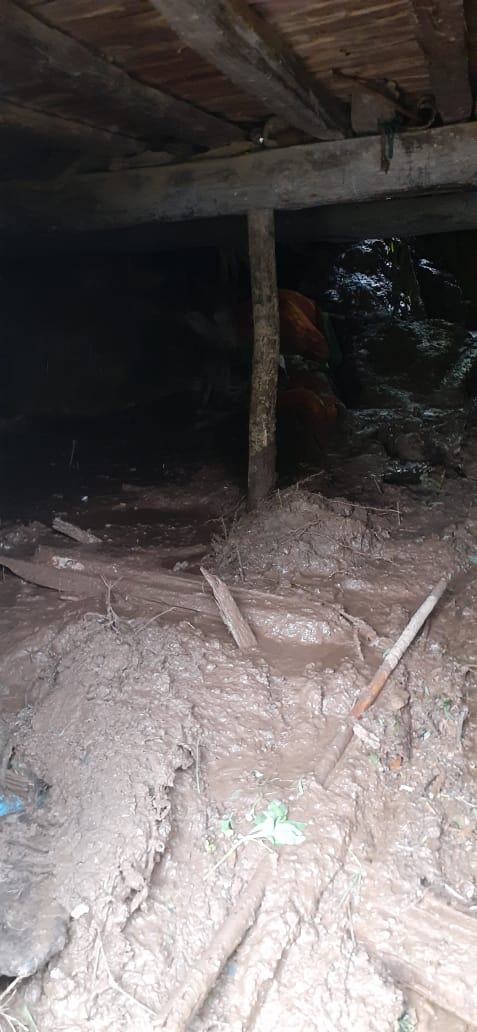 पिथौरागढ़ के बंगापानी तहसील में भारी बारिश ने मचाया कहर, एक बच्चे समेत चार लोग हुए घायल 2 Hello Uttarakhand News »