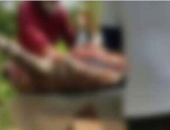 दो लोगों को मारने वाला गुलदार शिकारी अलीविन हांदी की गोली का हुआ शिकार 4 Hello Uttarakhand News »