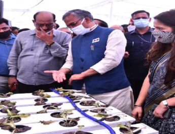 जैविक खेती उत्तराखण्ड की विशेषता है, जिसे बढ़ावा दिया जाना चाहिए-मुख्यमंत्री त्रिवेन्द्र सिंह रावत, 04 लाख किसानों को दिया गया ब्याजमुक्त ऋण-सहकारिता मंत्री धनसिंह रावत 4 Hello Uttarakhand News »