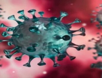 उत्तराखंड में कोविड का कहर जारी: आज 108 मरीज़ों की मौत, 6054 नए कोविड-19 मरीज, स्वास्थ हुए मरीज़ों की आज की संख्या 3485, देहरादून में 2329 4 Hello Uttarakhand News »