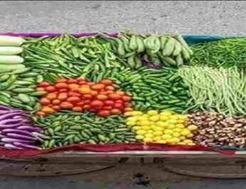 Uttarakhand: मुख्यमंत्री स्वरोजगार नैनो योजना में अब 50 हज़ार तक मिल सकेगा ऋण और 20 हज़ार तक का अधिकतम अनुदान, प्रदेश में ठेली-रेडी वाले व्यवसायों को मिलेगी बड़ी सहायता 2 Hello Uttarakhand News »