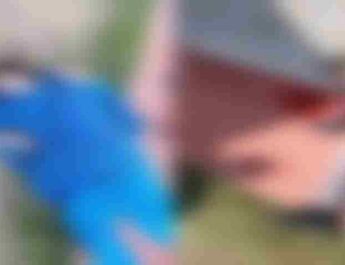 Jammu and Kashmir: School principal and teacher shot dead in Kashmir, 5 shot dead within 2 days 2 Hello Uttarakhand News »