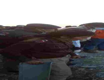 Pithoragarh: अत्यंत दुःखद: हल्द्वानी से पिथौरागढ़ जा रही कार पिथौरागढ पहुचने से आठ किलोमीटर पहले ही खाई में जा गिरी, चचेरे भाईयों की मौके पर ही दर्दनाक मौत 2 Hello Uttarakhand News »