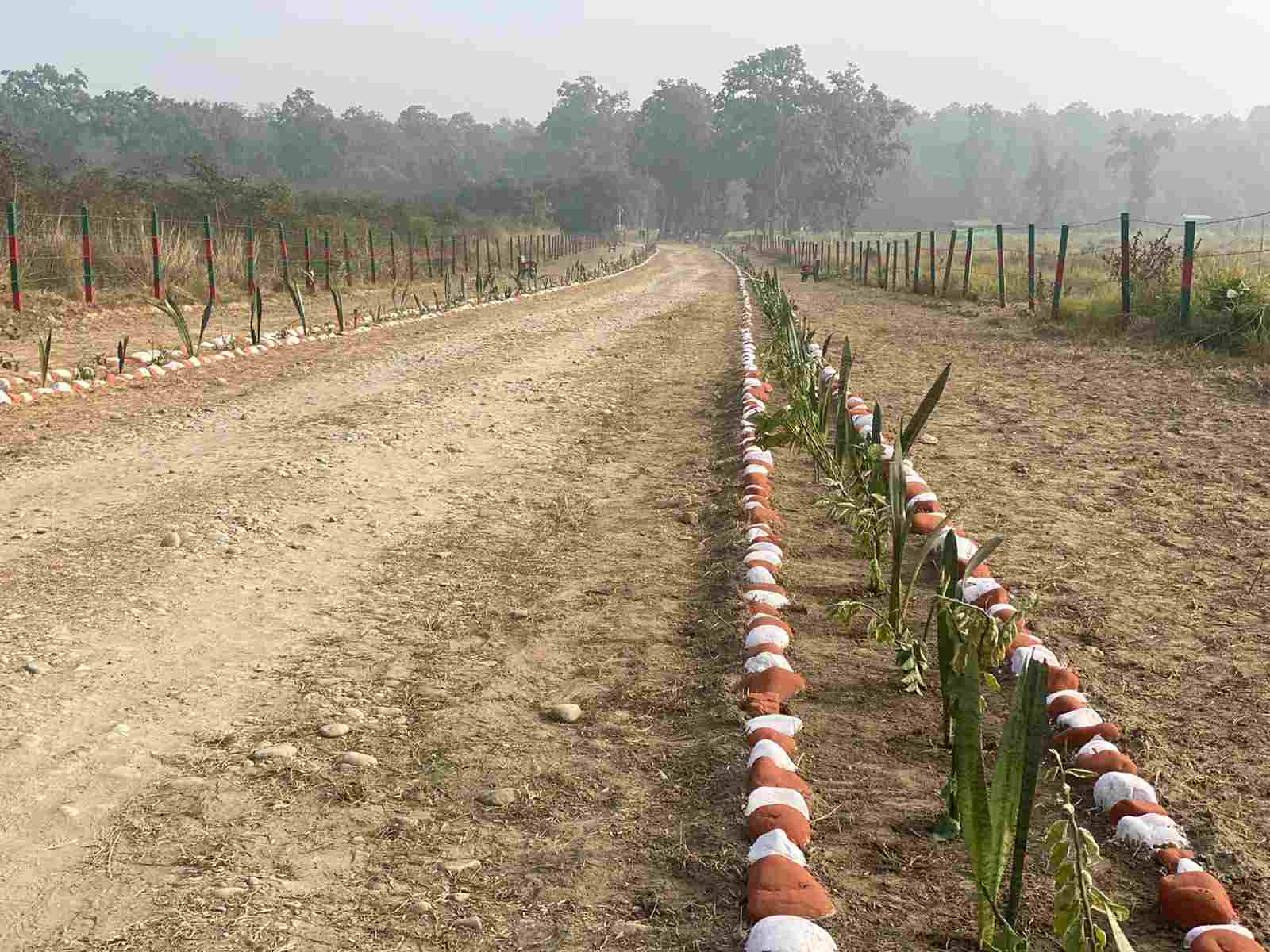 खटीमा में मुख़्यमंत्री धामी करेंगे सुरई इकोटूरिज्म जोन' में जंगल सफारी व 'ककरा क्रोकोडाइल ट्रेल' का लोकार्पण, पहली बार नेशनल पार्क और बायोस्फीयर रिजर्व क्षेत्र से बाहर अन्य क्षेत्र में संचालित होगी जंगल सफारी 3 खटीमा में मुख़्यमंत्री धामी करेंगे सुरई इकोटूरिज्म जोन' में जंगल सफारी व 'ककरा क्रोकोडाइल ट्रेल' का लोकार्पण, पहली बार नेशनल पार्क और बायोस्फीयर रिजर्व क्षेत्र से बाहर अन्य क्षेत्र में संचालित होगी जंगल सफारी 3 Hello Uttarakhand News »