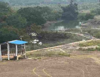 खटीमा में मुख़्यमंत्री धामी करेंगे सुरई इकोटूरिज्म जोन' में जंगल सफारी व 'ककरा क्रोकोडाइल ट्रेल' का लोकार्पण, पहली बार नेशनल पार्क और बायोस्फीयर रिजर्व क्षेत्र से बाहर अन्य क्षेत्र में संचालित होगी जंगल सफारी 4 Hello Uttarakhand News »