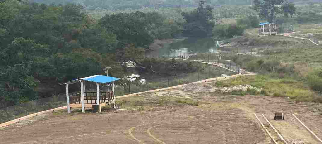 खटीमा में मुख़्यमंत्री धामी करेंगे सुरई इकोटूरिज्म जोन' में जंगल सफारी व 'ककरा क्रोकोडाइल ट्रेल' का लोकार्पण, पहली बार नेशनल पार्क और बायोस्फीयर रिजर्व क्षेत्र से बाहर अन्य क्षेत्र में संचालित होगी जंगल सफारी 2 खटीमा में मुख़्यमंत्री धामी करेंगे सुरई इकोटूरिज्म जोन' में जंगल सफारी व 'ककरा क्रोकोडाइल ट्रेल' का लोकार्पण, पहली बार नेशनल पार्क और बायोस्फीयर रिजर्व क्षेत्र से बाहर अन्य क्षेत्र में संचालित होगी जंगल सफारी 2 Hello Uttarakhand News »