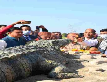 UTTARAKHAND : मुख्यमंत्री पुष्कर सिंह धामी ने खटीमा में किया ककरा क्रोकोडाइल ट्रेल का शुभारंभ, मुख्य रोड़ से खकरा क्रोकोडाइल ट्रेल को जोड़ने के लिए अधिकारियों को डीपीआर बनाए के दिए निर्देश 4 Hello Uttarakhand News »