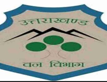 Big News: वन दरोगा ऑनलाइन 2021 परीक्षा में आज केस दर्ज, मुख्यमंत्री धामी के निर्देश पर हुई कार्रवाई 2 Hello Uttarakhand News »